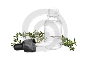 Bottle of thyme essential oil and fresh green sprigs on white background