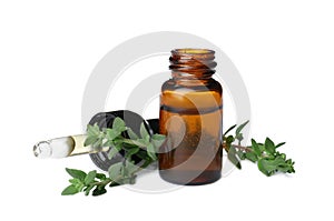 Bottle with thyme essential oil and fresh herb