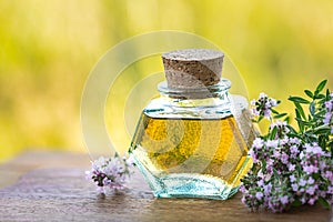 Bottle of thyme essential oil with fresh sprigs of thyme on a wooden background and nature in the background. Copy space