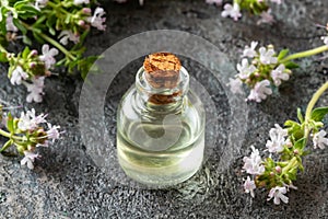 A bottle of thyme essential oil with fresh thyme