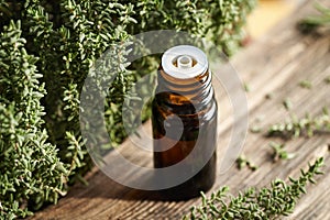 A bottle of thyme essential oil with fresh thyme