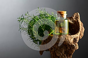 Bottle of thyme essential oil with fresh thyme