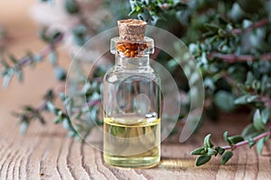 A bottle of thyme essential oil with fresh thyme twigs