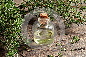 A bottle of thyme essential oil with fresh thyme twigs