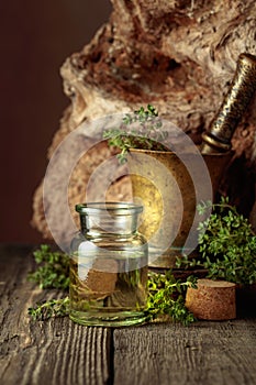 Bottle of thyme essential oil with fresh thyme twigs