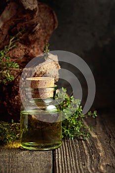 Bottle of thyme essential oil with fresh thyme twigs