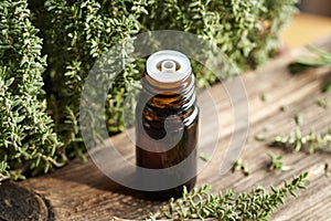 A bottle of thyme essential oil with fresh thyme twigs