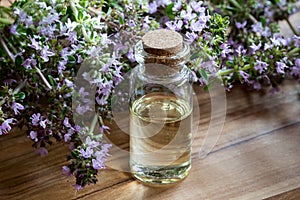 A bottle of thymus serpyllum creeping thyme essential oil