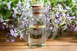 A bottle of thymus serpyllum creeping thyme essential oil