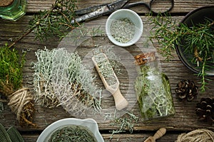 Bottle of tincture of moss, mortars of dried moss, Raindeer lichen, healthy common haircap moss and juniper twigs.