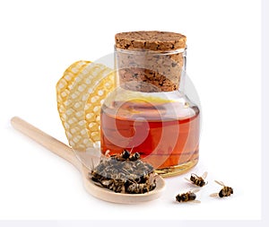 A bottle of tinctures on dead bees and dead bees in a wooden spoon. Treatment with dead bees. Dead bees do not buzz but