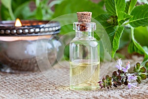 A bottle of tulsi essential oil with fresh tulsi, or holy basil