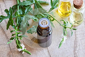 A bottle of vervain essential oil with blooming verbena officinalis