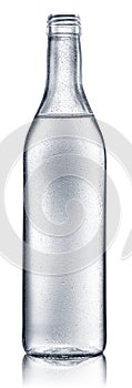 Bottle of vodka or gin, chilled alcohol drink, on white background. Clipping path