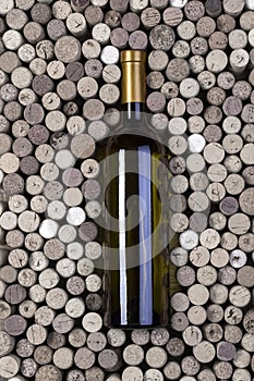 Bottle of white wine