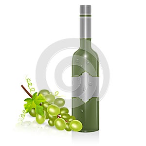 Bottle of white wine and bunch of grapes isolated on white background, Vector illustration in realistic style