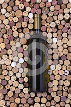 Bottle of white wine