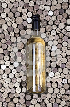 Bottle of white wine