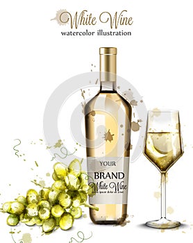 Bottle of white wine and glass watercolor Vector. Vintage painted style illustrations