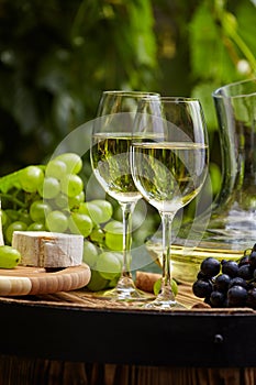 Bottle of white wine with wineglass and grapes in vineyard