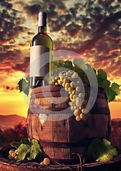 Bottle of white wine beside wooden barrel, grapes against vineyard sunset