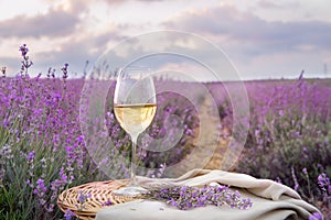 Bottle of wine against lavender