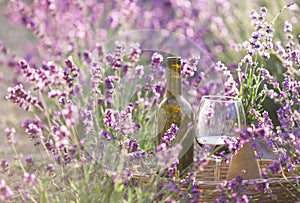 Bottle of wine against lavender landscape.