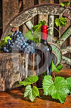 A bottle of wine on the background of the vine