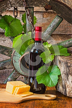 A bottle of wine on the background of the vine