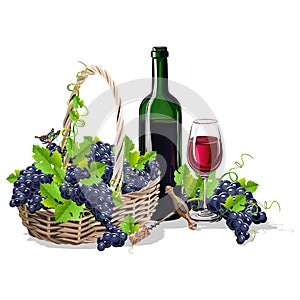 A bottle of wine and a basket of grapes