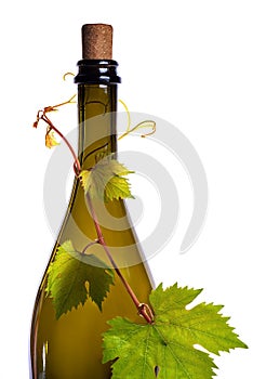 Bottle of wine corc cap grape leaves