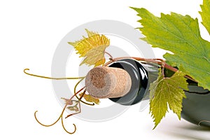 Bottle of wine corc cap grape leaves branch