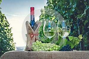 Bottle of wine with filled glasses and grapes on the background