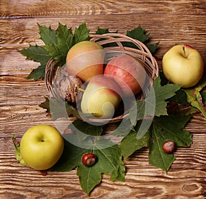 Bottle of wine, glass, leaves, wooden