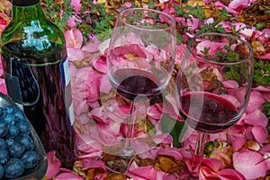 Bottle, wine glasses with blueberry in rose garden