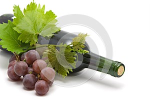 Bottle of wine with grape leafs and vine