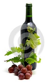 Bottle of wine with grape leafs and vine