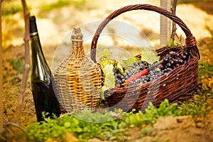 Bottle of wine and grapes in basket