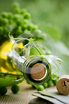 Bottle of wine and green leaves