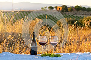 A bottle of wine with two glasses of grapes