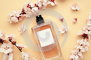 Bottle of woman perfume on beige background with spring apricot and cherry flowers