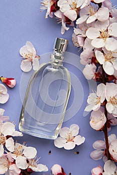 Bottle of woman perfume on purple background with spring apricot and cherry flowers. Vertical photo