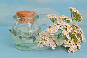 A bottle of yarrow essential oil with blooming yarrow close up, blue wooden table