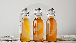 Bottled kombucha tea. Set of glass bottles with filtered kombucha drinks made of yeast, sugar and tea with addition of fruits and