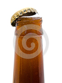 Bottleneck of beer bottle