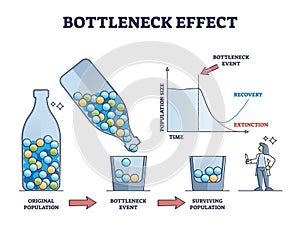 Bottleneck effect axis scheme on genetic drift and population outline diagram photo