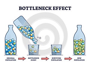 Bottleneck effect on genetic drift and population impact outline diagram