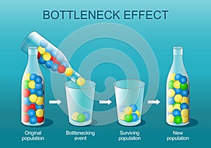 Bottleneck effect. Natural selection