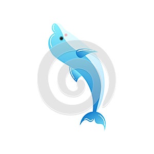Bottlenose dolphin performing trick isolated on white background
