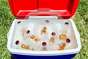 Bottles of beer in cooler box with ice